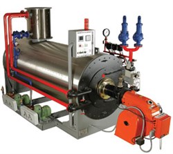 Парогенератор Alba промышленный D05-1000 (горизонтальный) G134700000121 - фото 3021571