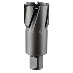 Кольцевая фреза ROTORICA TCT 54x55 RT.4225054 252-175815 - фото 4859355