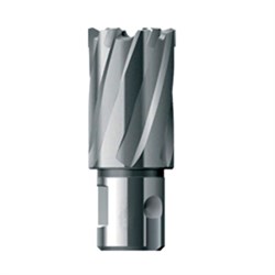Кольцевая фреза FE Powertools HSS 48х30 252-181653 - фото 4863879