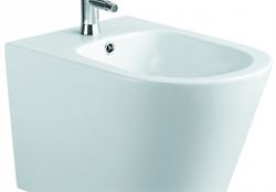 Биде подвесное AQUATEK ВЕГА 530*360*325 AQ1057-00 T0046628 - фото 5452739