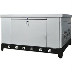 Газовый генератор Genese GE60 (в шумозащитном кожухе) 548-093756 - фото 5531492