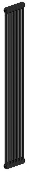 Стальной трубчатый радиатор 2-колончатый IRSAP TESI 21800/06 Т30 cod.10 (RAL9005 черный) (RR218000610A430N01) M130913 - фото 5622709