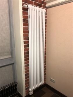Стальной трубчатый радиатор 2-колончатый Arbonia 2180/10 N69 твв RAL 9016 M88356 - фото 5623209