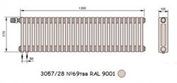 Стальной трубчатый радиатор 3-колончатый Arbonia 3057/28 N69 твв RAL 9001 M86420 - фото 5642422