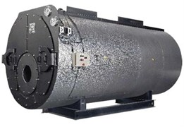Котел промышленный водогрейный ICI Caldaie ASGX 4000 76661566329856