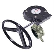 Затвор дисковый поворотный DN WBV3232V-2W-Fb Ду300 Ру16, корпус - нержавеющая сталь 316L, диск - нержавеющая сталь 316L, уплотнение - Viton, с редуктором RDN RQN5-500Z-T30 D050-31370