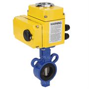 Затвор дисковый поворотный DN WBV0232E-2W-Fb Ду25 Ру16, корпус - алюминевый сплав, диск - нержавеющая сталь 316L, уплотнение - EPDM, с 1/4-оборотным электроприводом QT-N-003EM-O1-220VAC-У1 220В D050-24837