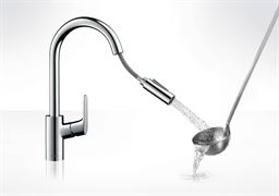 Смеситель для кухни HANSGROHE Focus 31815800 T0012881