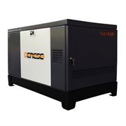 Газовый генератор Genese Standard 14000T (в шумозащитном кожухе) 548-093557