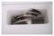 Измельчитель льда Kocateq SG158 E33904 - фото 2930378 Измельчитель льда Kocateq SG158 E33904 - фото 2930378