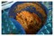 Соковыжималка Starfood S-800 E44200 - фото 2971609 Соковыжималка Starfood S-800 E44200 - фото 2971609