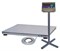 Весы платформенные Scale СКП1212 E132153 - фото 3008015 Весы платформенные Scale СКП1212 E132153 - фото 3008015