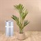 Очиститель воздуха Kyvol Vigoair P5 Air Purifier EA320 Серебристый с Wi-Fi M189801 - фото 3451767 Очиститель воздуха Kyvol Vigoair P5 Air Purifier EA320 Серебристый с Wi-Fi M189801 - фото 3451767