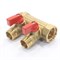 Коллектор General Fittings 6200 3/4 х1/2 , 2вых., c шаровыми кранами, латунь никелир. 6200R6H0504R2A - фото 4497480 Коллектор General Fittings 6200 3/4 х1/2 , 2вых., c шаровыми кранами, латунь никелир. 6200R6H0504R2A - фото 4497480