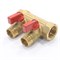 Коллектор General Fittings 6200 3/4 х1/2 , 2вых., c шаровыми кранами, латунь 620056H0504R2A - фото 4497612 Коллектор General Fittings 6200 3/4 х1/2 , 2вых., c шаровыми кранами, латунь 620056H0504R2A - фото 4497612
