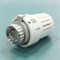 Термоголовка Valtec VT.3000, М30 х1,5 (6,5-28°C) VT.3000.0.0 - фото 4551796 Термоголовка Valtec VT.3000, М30 х1,5 (6,5-28°C) VT.3000.0.0 - фото 4551796