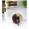 Напольный вентилятор Stadler Form O-009OR Otto fan ORIGINAL bamboo M129597 - фото 4660807 Напольный вентилятор Stadler Form O-009OR Otto fan ORIGINAL bamboo M129597 - фото 4660807