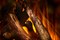 Линейный электрокамин British Fires New Forest 870 with Deluxe Real logs M234610 - фото 4749264 Линейный электрокамин British Fires New Forest 870 with Deluxe Real logs M234610 - фото 4749264
