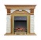 Классический очаг 2D Dimplex Danville Antique Brass FB2 M12607 - фото 4757408 Классический очаг 2D Dimplex Danville Antique Brass FB2 M12607 - фото 4757408