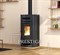 Дровяная печь La Nordica ORIANA Ghisa smaltata, legno (черный, дерево) M184932 - фото 4765887 Дровяная печь La Nordica ORIANA Ghisa smaltata, legno (черный, дерево) M184932 - фото 4765887