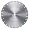 Алмазный диск Lissmac BSW-11 800 мм (посадочное отверстие 60 мм) 142-052644 - фото 4837992