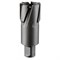Кольцевая фреза ROTORICA TCT 15x55 RT.4225015 252-175791 - фото 4860117