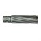 Корончатое сверло KORNOR TCT weldon 19 20х110 252-168208 - фото 4860614 Корончатое сверло KORNOR TCT weldon 19 20х110 252-168208 - фото 4860614
