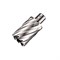 Корончатое сверло 3keego HSS 14x55 мм (Weldon 19) 252-066562 - фото 4864253