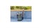 Дренажный насос Gardena 9300 (09006-29.000.00) M184912 - фото 4915336 Дренажный насос Gardena 9300 (09006-29.000.00) M184912 - фото 4915336