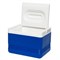 Термоконтейнер Igloo Legend 6 M58215 - фото 4922639 Термоконтейнер Igloo Legend 6 M58215 - фото 4922639