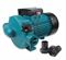 Повысительный насос LEO LPm370HA M108302 - фото 5313303 Повысительный насос LEO LPm370HA M108302 - фото 5313303