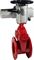 Задвижка клиновая Reon RSV60RED Ду80 Ру10,16 с обрезиненным клином, с электроприводом ЭП-МА 100/24, 380 В D040-07064 - фото 5365634 Задвижка клиновая Reon RSV60RED Ду80 Ру10,16 с обрезиненным клином, с электроприводом ЭП-МА 100/24, 380 В D040-07064 - фото 5365634
