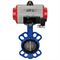 Затвор дисковый поворотный DN WBV1413E-2W-Fb Ду40 Ру16, корпус - чугун GGG50, диск - чугун GGG40, уплотнение - EPDM, с пневмоприводом DN DA-052 и пневмораспределителем 4M310-08 220В D050-16901 - фото 5412975 Затвор дисковый поворотный DN WBV1413E-2W-Fb Ду40 Ру16, корпус - чугун GGG50, диск - чугун GGG40, уплотнение - EPDM, с пневмоприводом DN DA-052 и пневмораспределителем 4M310-08 220В D050-16901 - фото 5412975