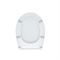 Сиденье IDDIS Сидеье для унитаза 004 004PPS3i31 T0045235 - фото 5435873 Сиденье IDDIS Сидеье для унитаза 004 004PPS3i31 T0045235 - фото 5435873