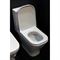Напольный унитаз Roca The Gap 342477000 T0023305 - фото 5436181 Напольный унитаз Roca The Gap 342477000 T0023305 - фото 5436181