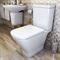 Напольный унитаз Roca The Gap 342477000 T0023305 - фото 5436184 Напольный унитаз Roca The Gap 342477000 T0023305 - фото 5436184