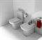 Напольный унитаз Roca Dama Senso 342517000 T0022875 - фото 5436210 Напольный унитаз Roca Dama Senso 342517000 T0022875 - фото 5436210
