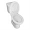 Напольный унитаз Loranto Lino с сиденьем микролифт (soft close) полипропилен, CS-CT8812 T0062275 - фото 5436315 Напольный унитаз Loranto Lino с сиденьем микролифт (soft close) полипропилен, CS-CT8812 T0062275 - фото 5436315