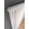 Стальной трубчатый радиатор 2-колончатый IRSAP TESI 21800/06 T30 (RR218000601A430N01) M59543 - фото 5622632 Стальной трубчатый радиатор 2-колончатый IRSAP TESI 21800/06 T30 (RR218000601A430N01) M59543 - фото 5622632