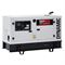 Дизельный генератор GENMAC RG15PO в кожухе 549-074734 - фото 5860146
