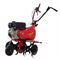 Мотокультиватор Eurosystems Euro-5 EVO RM S/R B&amp S CR950 Series 169-060718 - фото 5946839