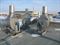 Центробежный вентилятор Shuft RAD-80B6-6,3-1,1-1000 M218163 - фото 5958626 Центробежный вентилятор Shuft RAD-80B6-6,3-1,1-1000 M218163 - фото 5958626