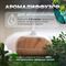Ультразвуковой увлажнитель воздуха ZDK R1518 light wood M137746 - фото 5962852 Ультразвуковой увлажнитель воздуха ZDK R1518 light wood M137746 - фото 5962852