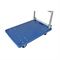 Тележка платформенная RAD FD 300 (900х600) 212-253730 - фото 6028337 Тележка платформенная RAD FD 300 (900х600) 212-253730 - фото 6028337